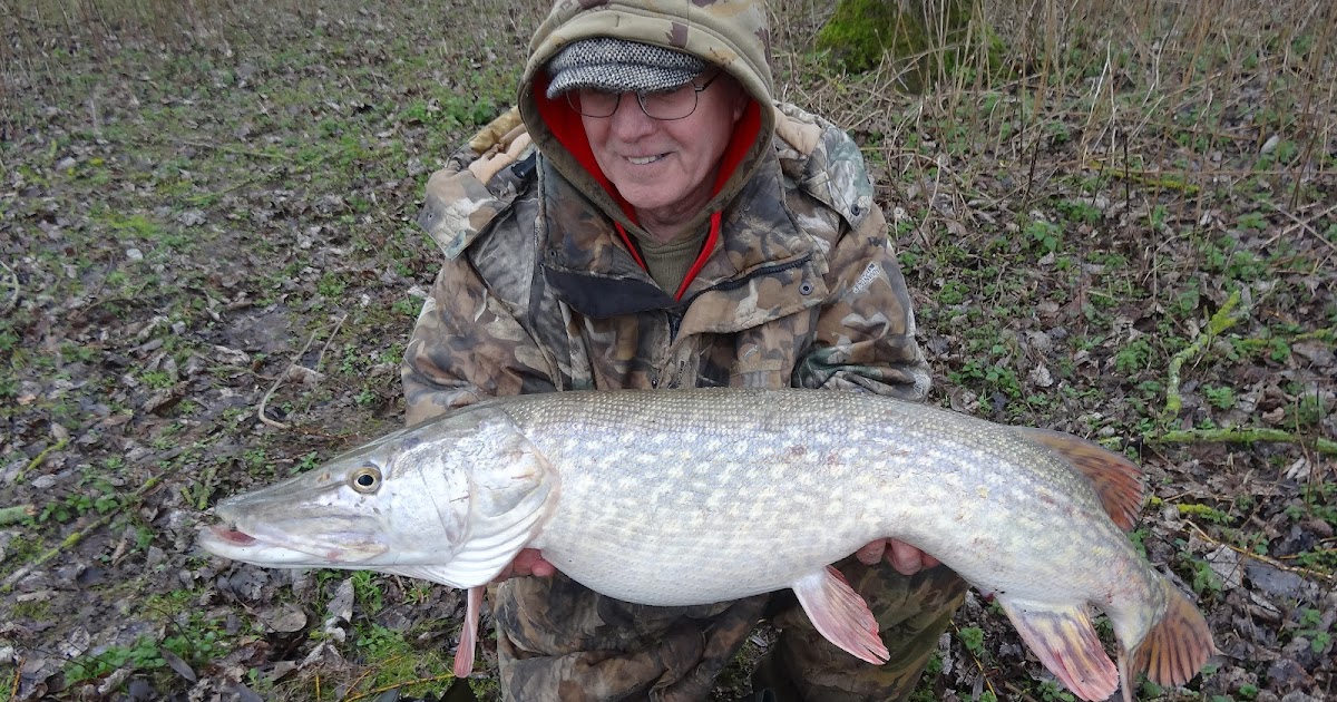 The Pike Pool: Distance Casting With Deadbaits