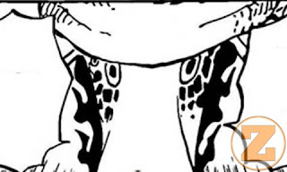 REVIEW ONE PIECE 1072 BAHASA INDONESIA : FAKTA MENARIK STUSSY TERUNGKAP