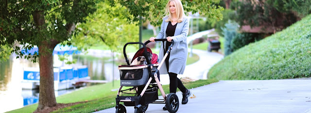 https://petroverusa.com/collections/pamper-your-pet-with-the-luxury-3-in-1-multi-function-pet-stroller/products/pet-rover-prime-luxury-3-in-1-stroller-for-small-medium-dogs-cats-and-pets-black