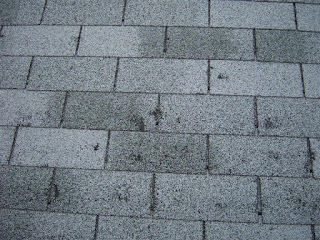 repair my shingle roof