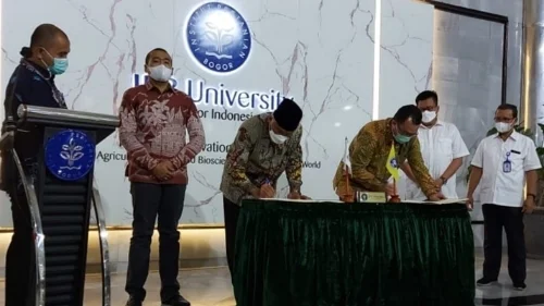 Kerjasama  dengan IPB, Gubernur Mahyeldi Ingin Sumbar Mampu Berikan Harga Daging Ekonomis di Pemerintahan Jokowi