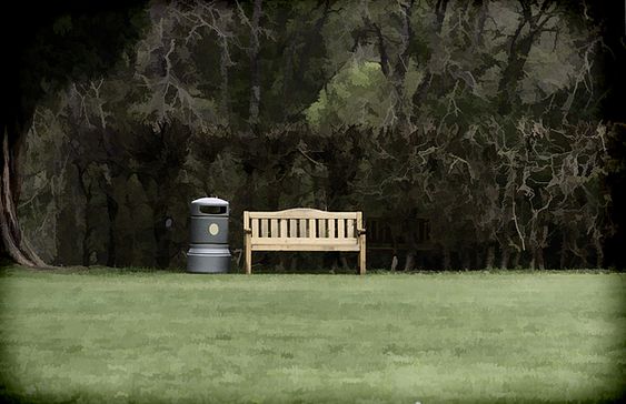 A trash can and wooden bench - Fine Art America