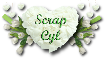 Scrap Cyl