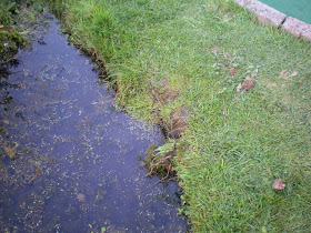 The Minigolf Welly Boot Swamp Ball Incident in Hastings