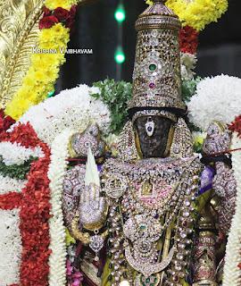 Vaikunta, Ekadesi,Paramapatha Vasal,Dharisanam, Sri PArthasarathy Perumal, Perumal, Venkata Krishna , Varushotsavam, 2017, Video, Divya Prabhandam,Triplicane,Thiruvallikeni,Utsavam,