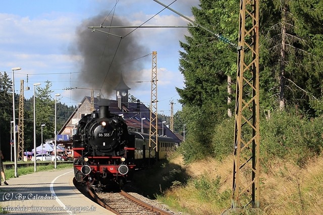 86 333 Bärental
