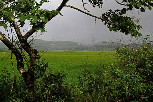 Way to Jog Falls - Karnataka