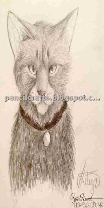How to Make Cartoon Cat Colour Pencil Drawings