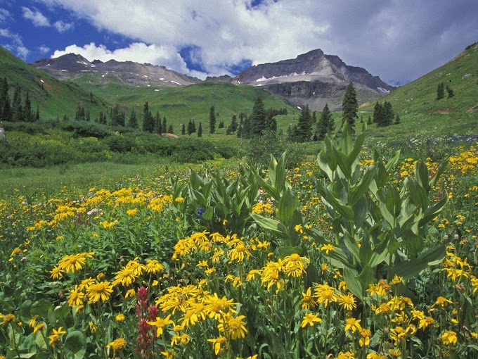 Beautiful Seenof Lakes n Flowers,