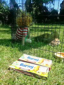 Barny Bear's Little Adventure - Barny snacks in boxes