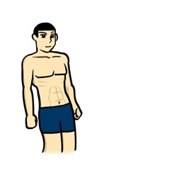 Lose Stomach Fat