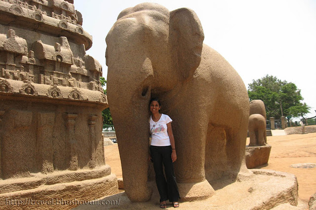 Shore Temple Elephant Sculpture Mahabalipuram UNESCO