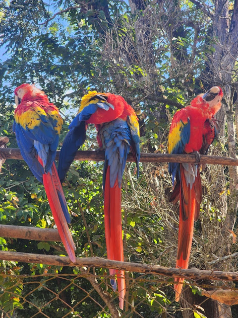 Copan Ruinas Honduras