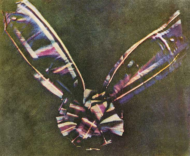 For the first time, a color photograph taken using the method of the physicist James Maxwell was shown publicly
