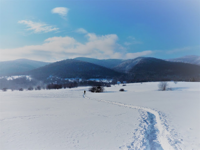 Bieszczady zimą