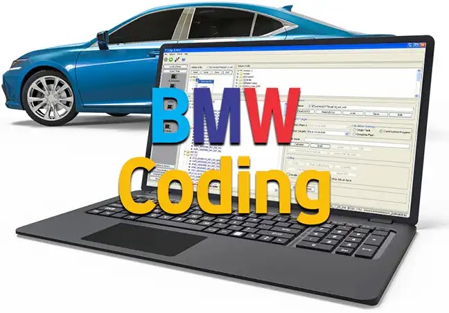 BMW Coing