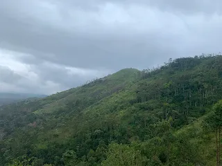 Beautiful hills in Munnar
