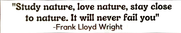 "Study nature, love nature, stay close to nature. It will never fail you" -Frank Lloyd Wright