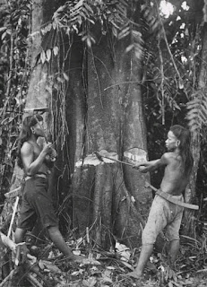 Foto JADOEL Dua Orang Dayak sedang menebang pohon,Tahun 1940.