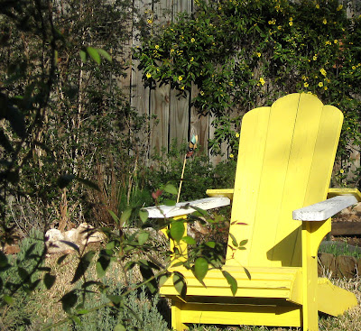 Yellow chair and jessamine,Annieinaustin