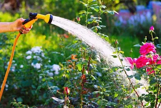7 home garden maintenance effective sprinkle best practices