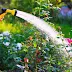 7 home garden maintenance effective sprinkle best practices