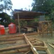 View album