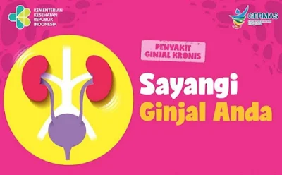 Perhatikan dan Sayangi Ginjalmu Sebelum Terlambat!