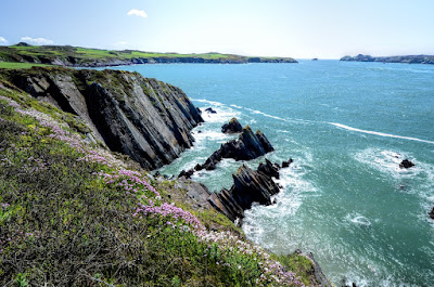 Pembrokeshire Coast ramsey sound st. justinians