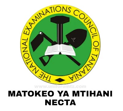 Matokeo ya Kidato cha Nne 2023-2024 Form 4 CSEE Results