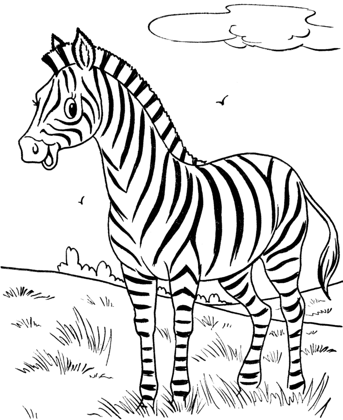 Free Printable Zebra Coloring Pages For