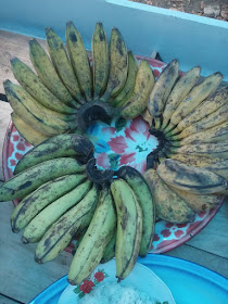 buah pisang ritual mengapungkan perahu di desa tubo majene