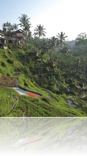 0858 Indonésia - Bali - Ubud to Penelokan