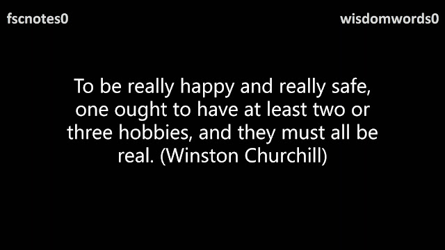 To be really happy and really safe, one ought to have at least two or three hobbies, and they must all be real. (Winston Churchill)