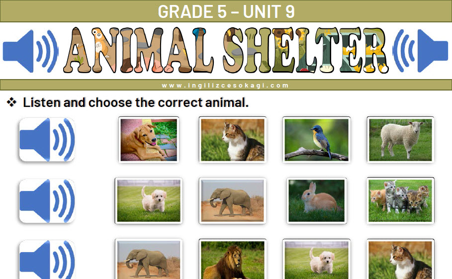 animal shelter