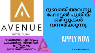 Dubai Avenue Hotel has new vacancies