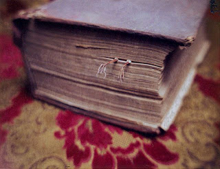 What is inside this book?