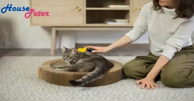 Playful and Interactive Electronic Cat Toys | Keep Your Cat Entertained