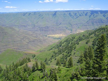 Imnaha Valley