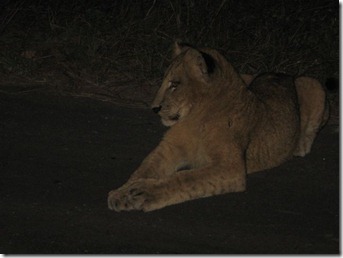 Life in the wilderness 049
