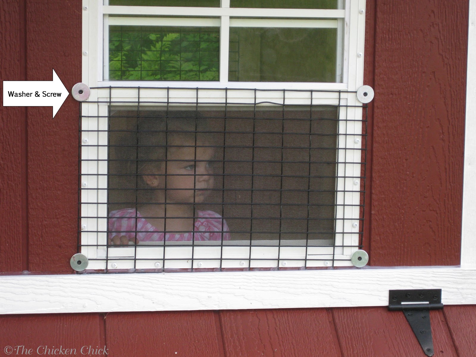 The Chicken Chick®: Coop Security: Hardware Cloth vs Chicken Wire  hardware cloth chicken coop