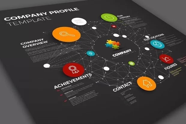 Profil Perusahaan CV Pengadaan Barang dan Jasa
