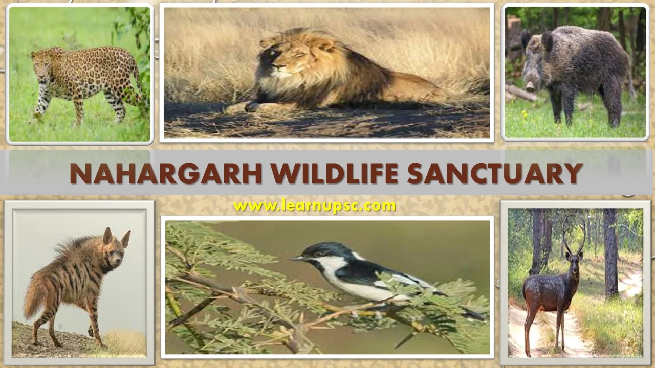 Nahargarh Wildlife Sanctuary