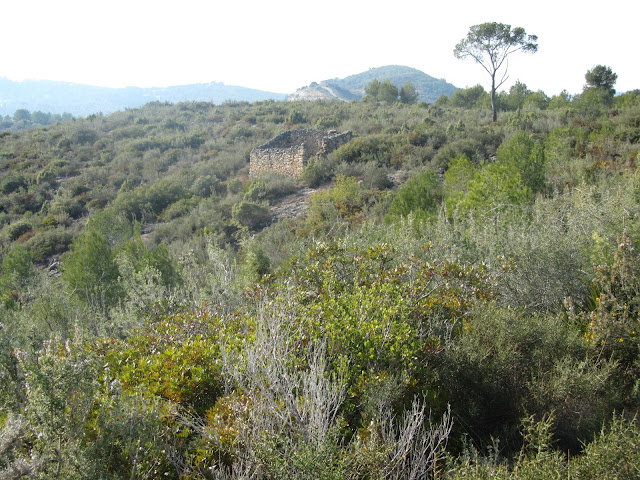 LA BISBAL DEL PENEDÈS A MAS TARRAGÓ