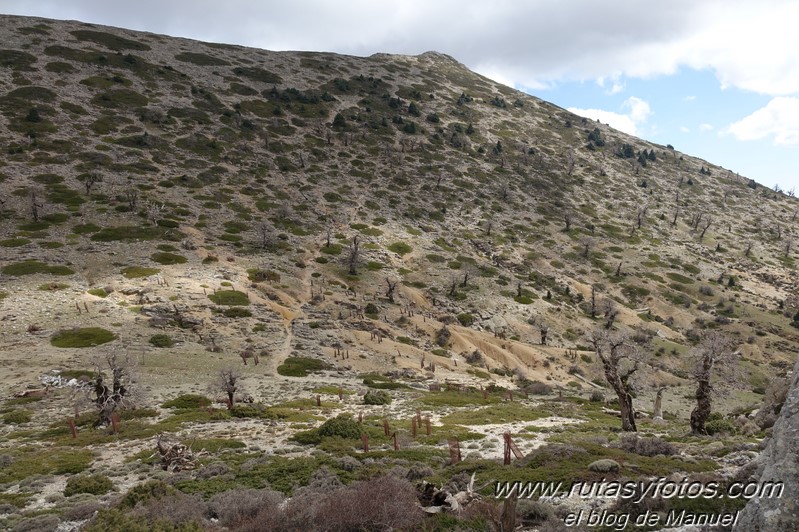 Colada del Tejo - Cerro Estepilar - Cerro del Pilar - Cerro de los Valientes - Picaho de Fatalandar