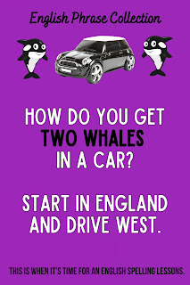 English Phrase Collection | English Humour Collection | How do you get two whales in a car? Start in England and drive west.