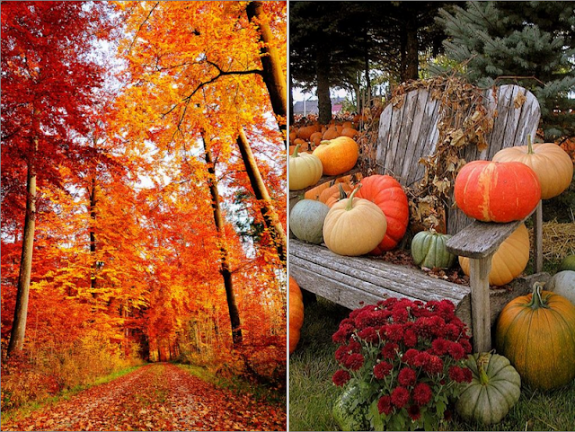 These 100+ Beautiful Autumn Photos Will Inspire You To Grab Your Camera