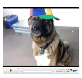 Blogger video player