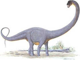 Supersaurus vivianae