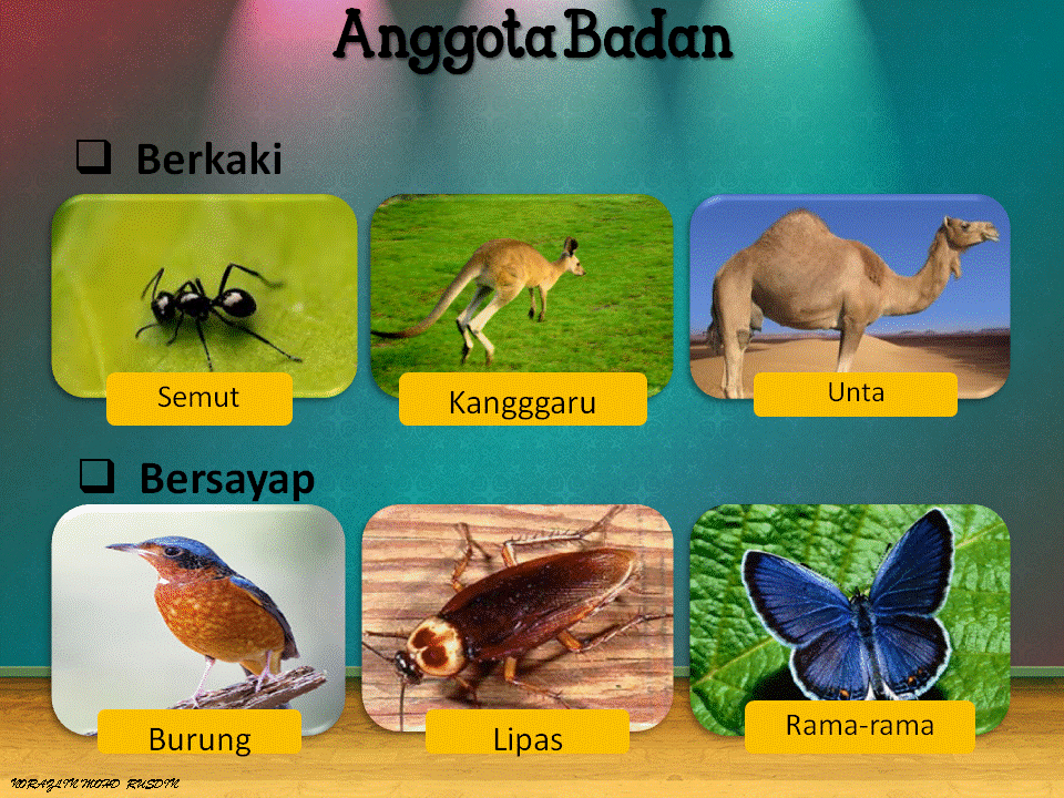 Dunia Sains dan Teknologi (Belajar dengan Ceria): DST 